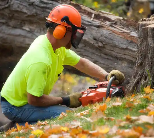 tree services Sherburn